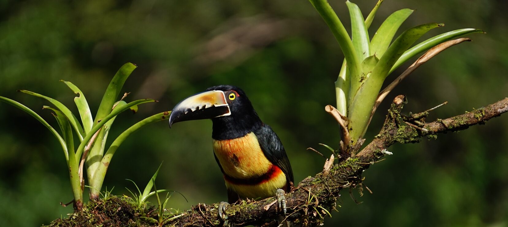 Costa Rica