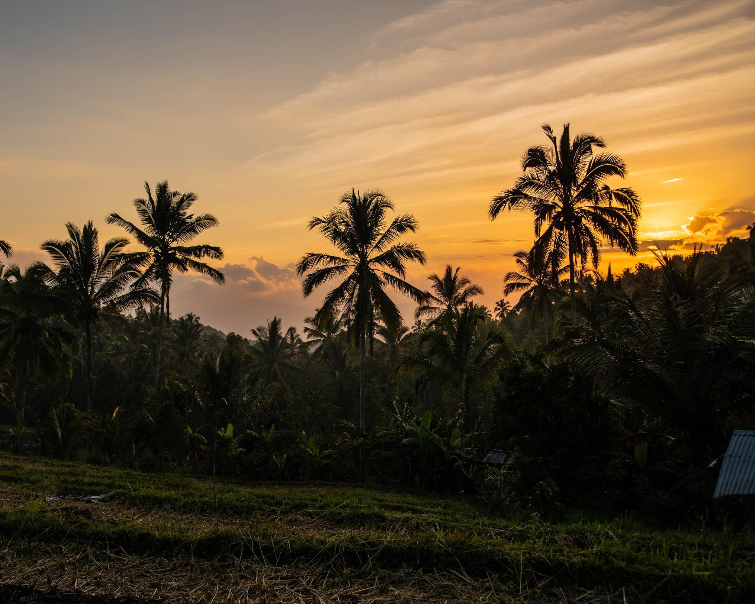 Elevate Bali By Hanging Gardens Munduk