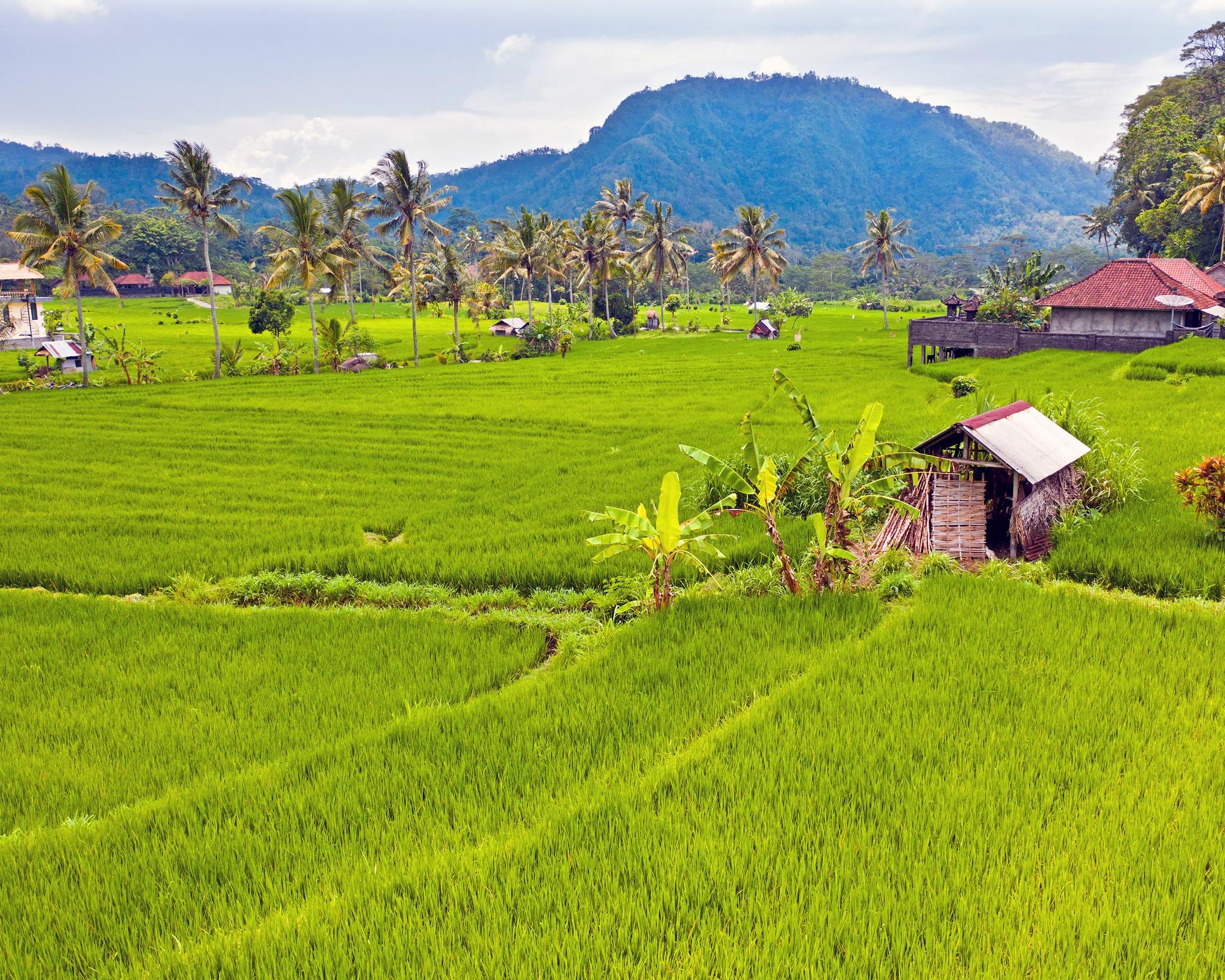 Sawah Indah Villa