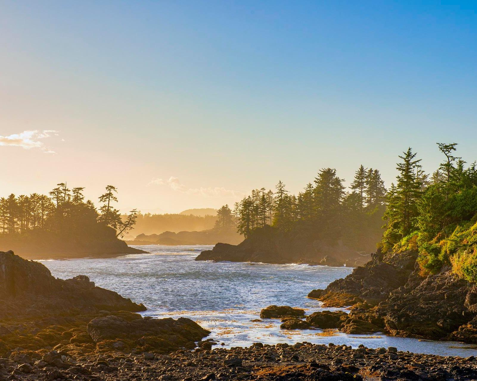 Hotel Zed Tofino