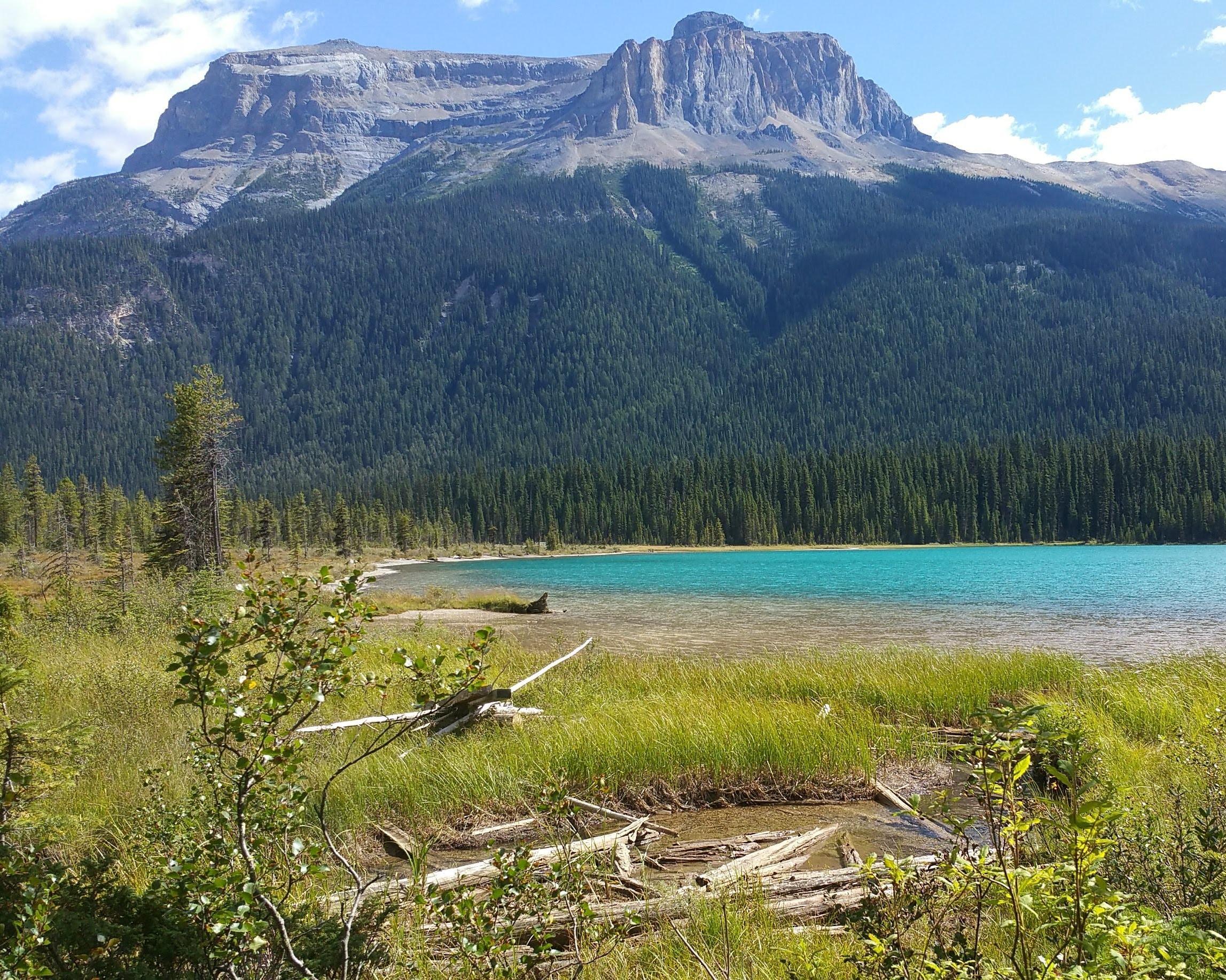 Glacier Mountaineer Lodge