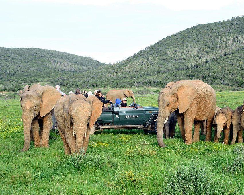 Kariega Game Reserve - Main Lodge