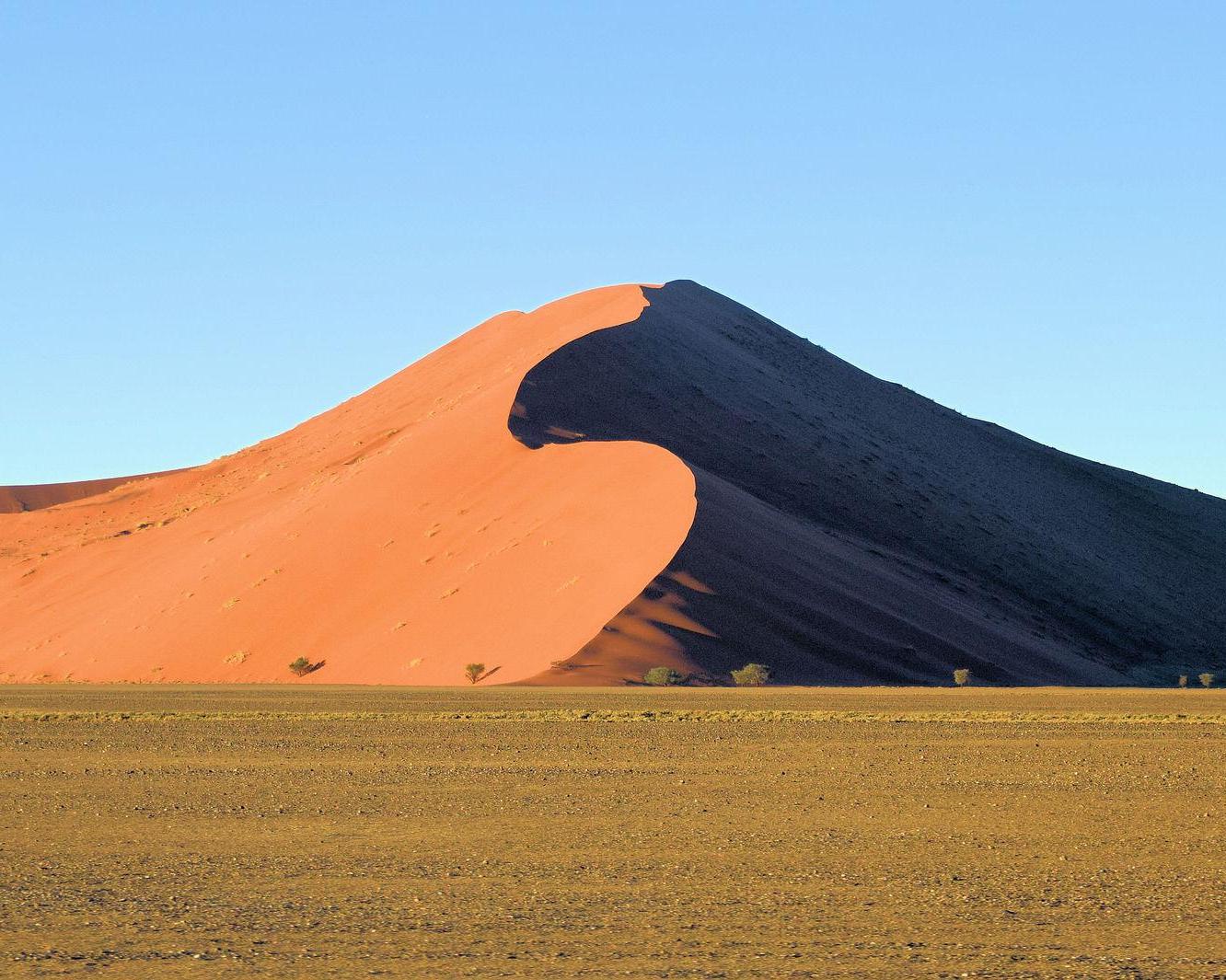 Desert Camp