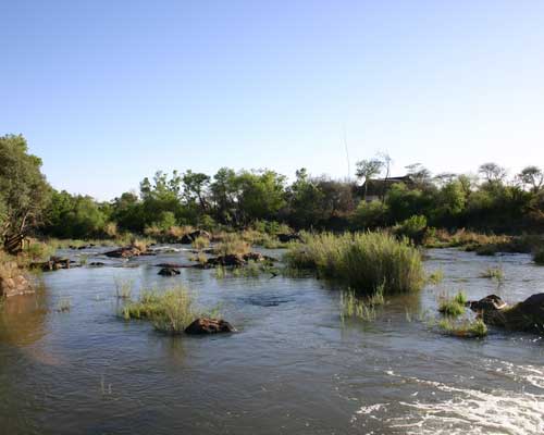 Madikwe Safari Lodge