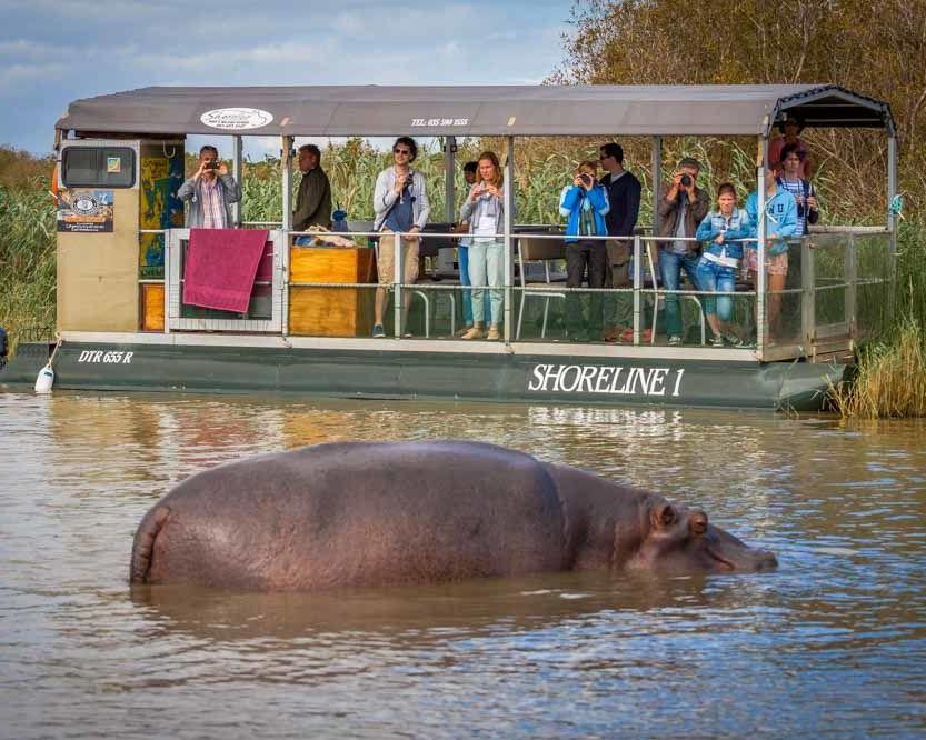 Elephant Coast Guest House