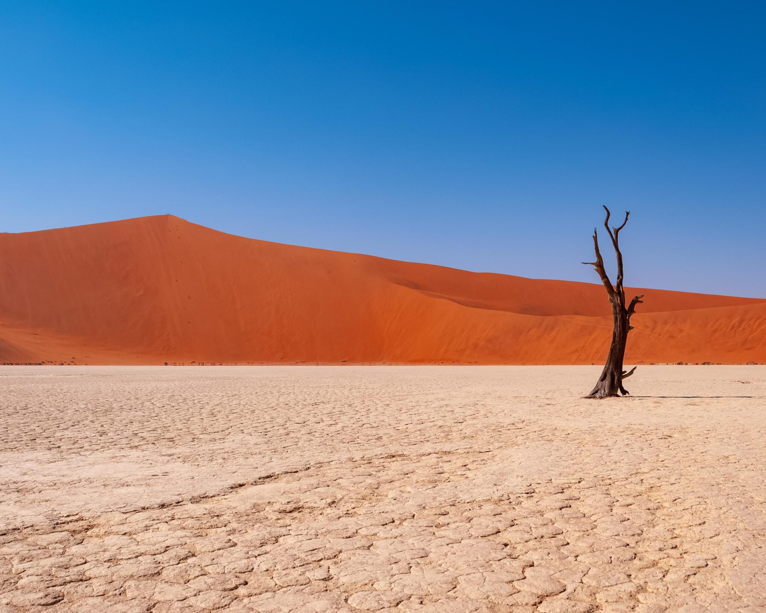 Desert Camp