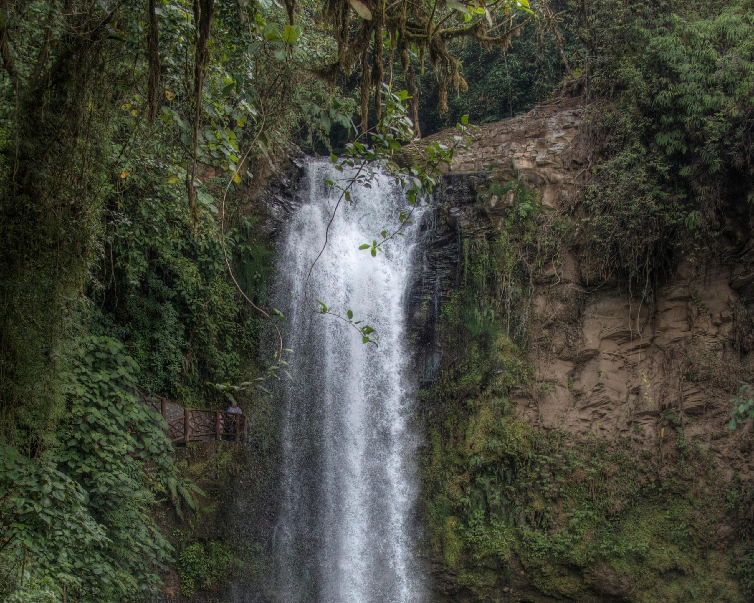 Selva Verde Lodge