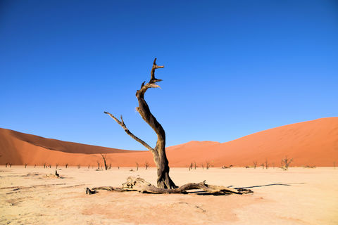 Sossusvlei Dead Valley