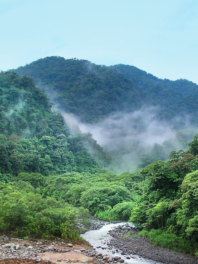 Jungle Costa Rica