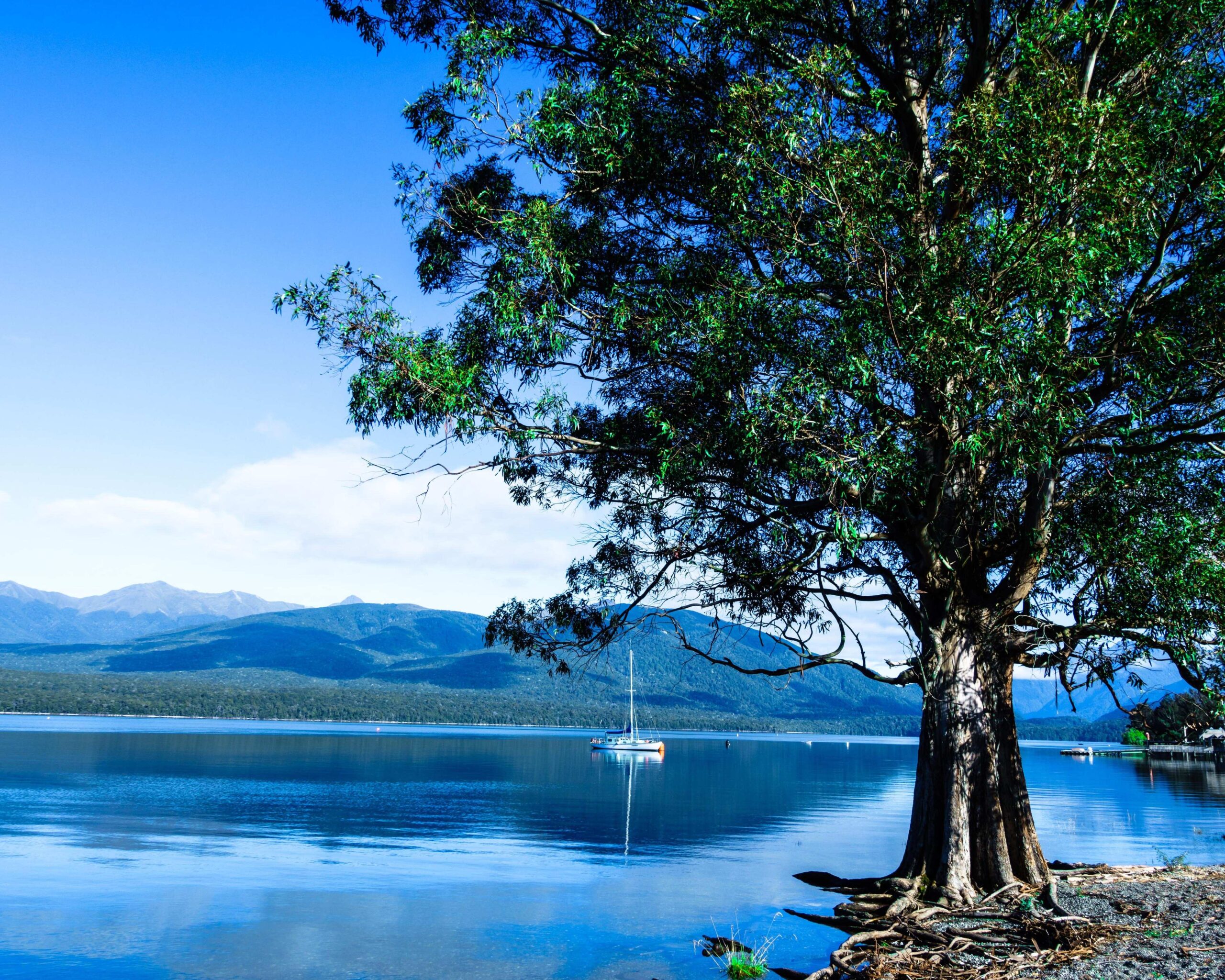 Fiordland Lakeview Motel and Apartments