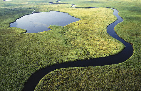 Okavango Delta van boven